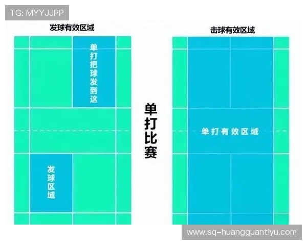 干扰发球违例的判定标准是什么，详细解读裁判吹罚的具体依据