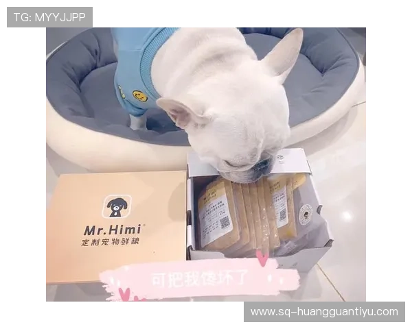 贝林厄姆家冰箱里塞满蛋白粉,连狗粮都是定制的